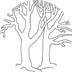 Bare Tree Branches thumbnail