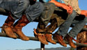 Cowboys Wearing Boots thumbnail