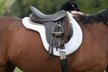 Horse Tack thumbnail