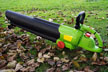 Leaves and Blower thumbnail