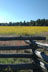 Fence and Wildflowers thumbnail