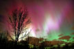 Pink Northern Lights thumbnail