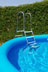 Swimming Pool Ladder thumbnail