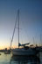 Sailboat in Newport Harbor thumbnail