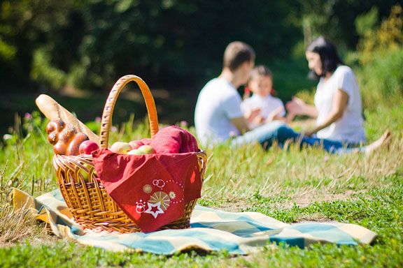 picnic basket