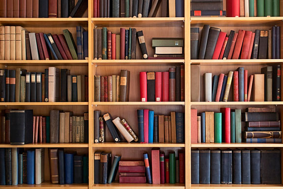 bookcase with books