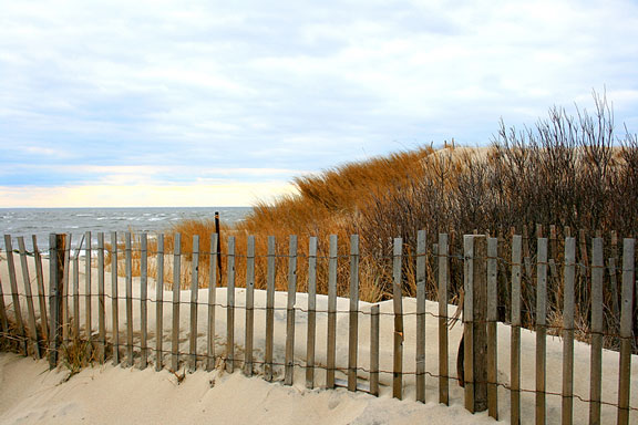 cape may beachfront