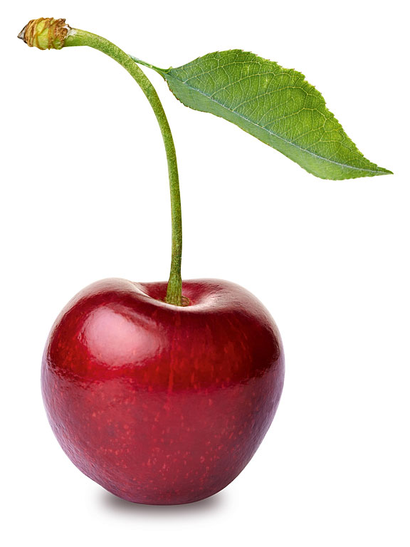 cherry, leaf, and stem