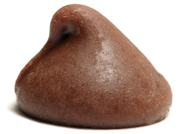chocolate chip (close-up)