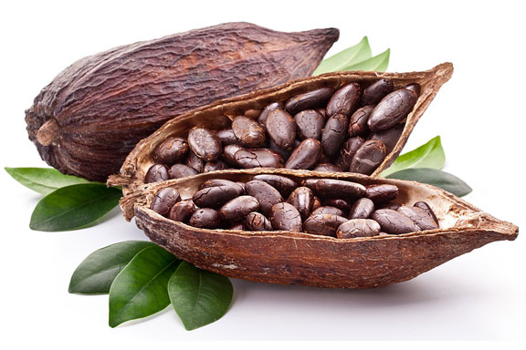 cocoa beans and cacao tree leaf