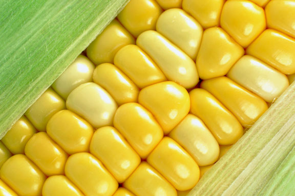 corn on the cob macro