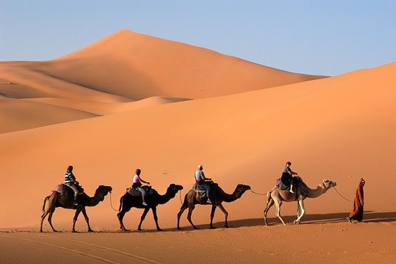 caravan in the desert