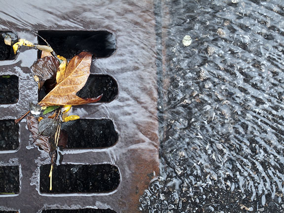 rainwater flowing into a storm drain