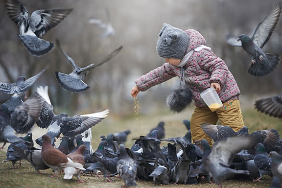 child feeding a cluster of gray pigeons