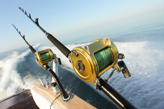 big game fishing rods