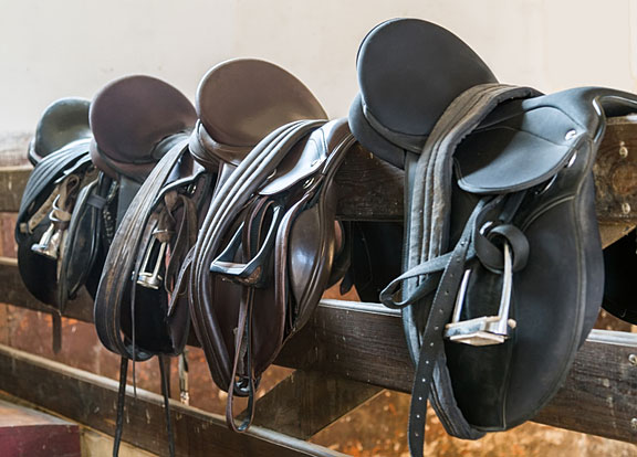 leather riding saddles on a fence rail