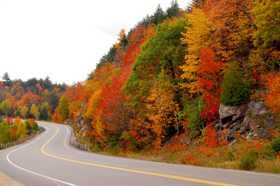 Autumn Colors in northern Ontario