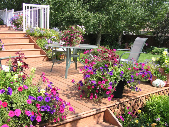 outdoor deck, patio, and landscape