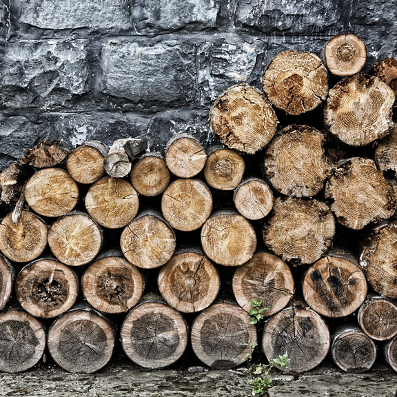 woodpile stacked against a wall