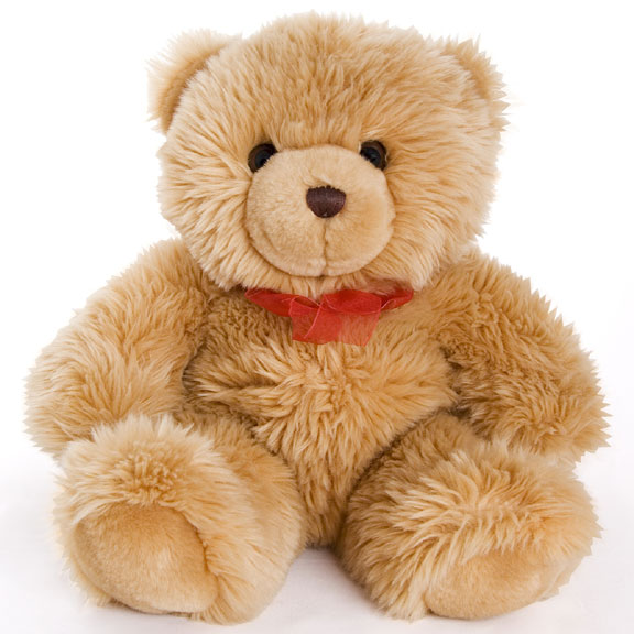 plush teddy bear toy