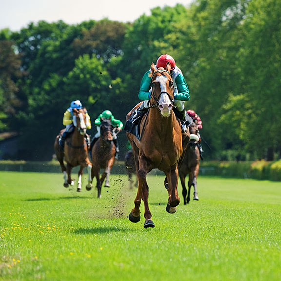 horses racing toward the finish line