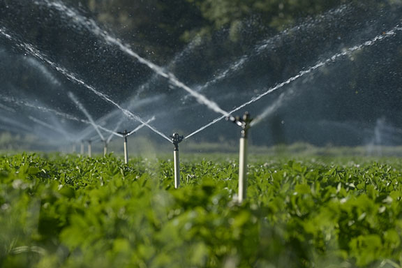 irrigation sprinklers
