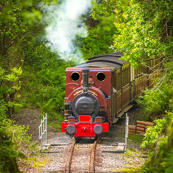 steam engine crossing a little bridge