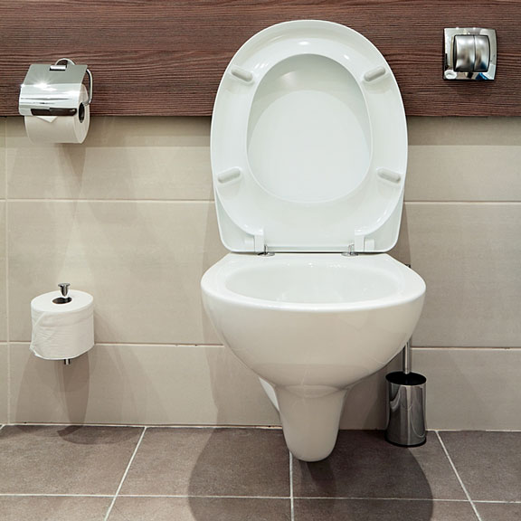 bathroom toilet fixture and accessories