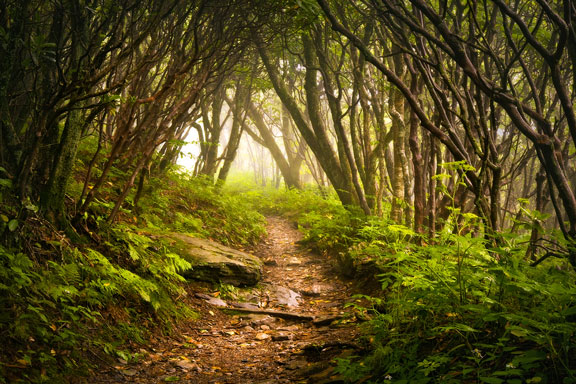 trail in western north carolina