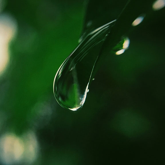 water drop close-up