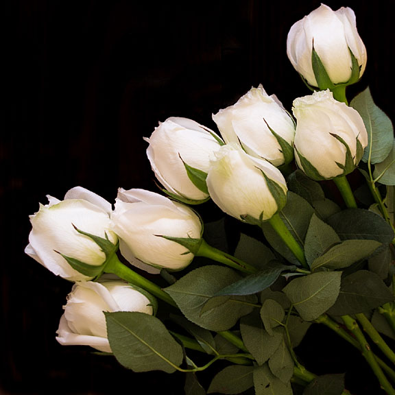 bouquet of white roses