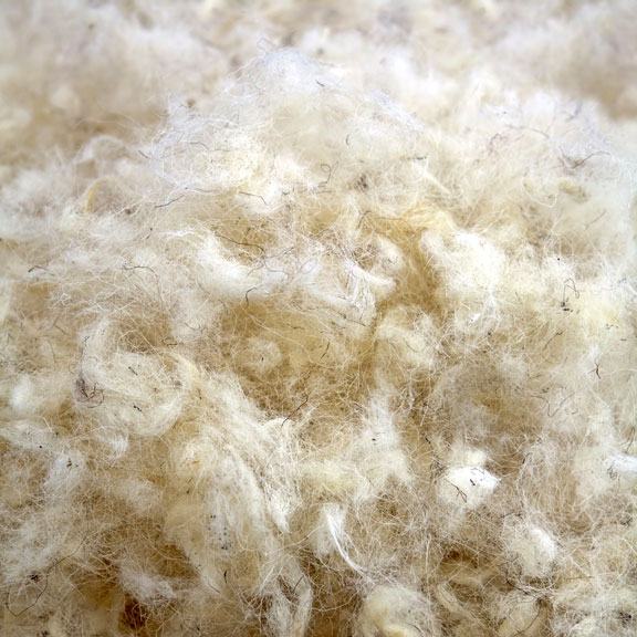 raw wool